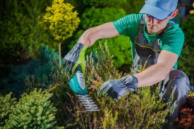landscaping services Redwater